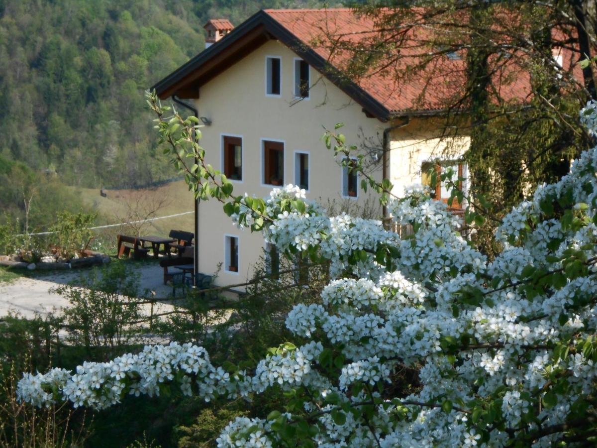 Agriturismo La Casa Nei Boschi Colderu Luaran gambar