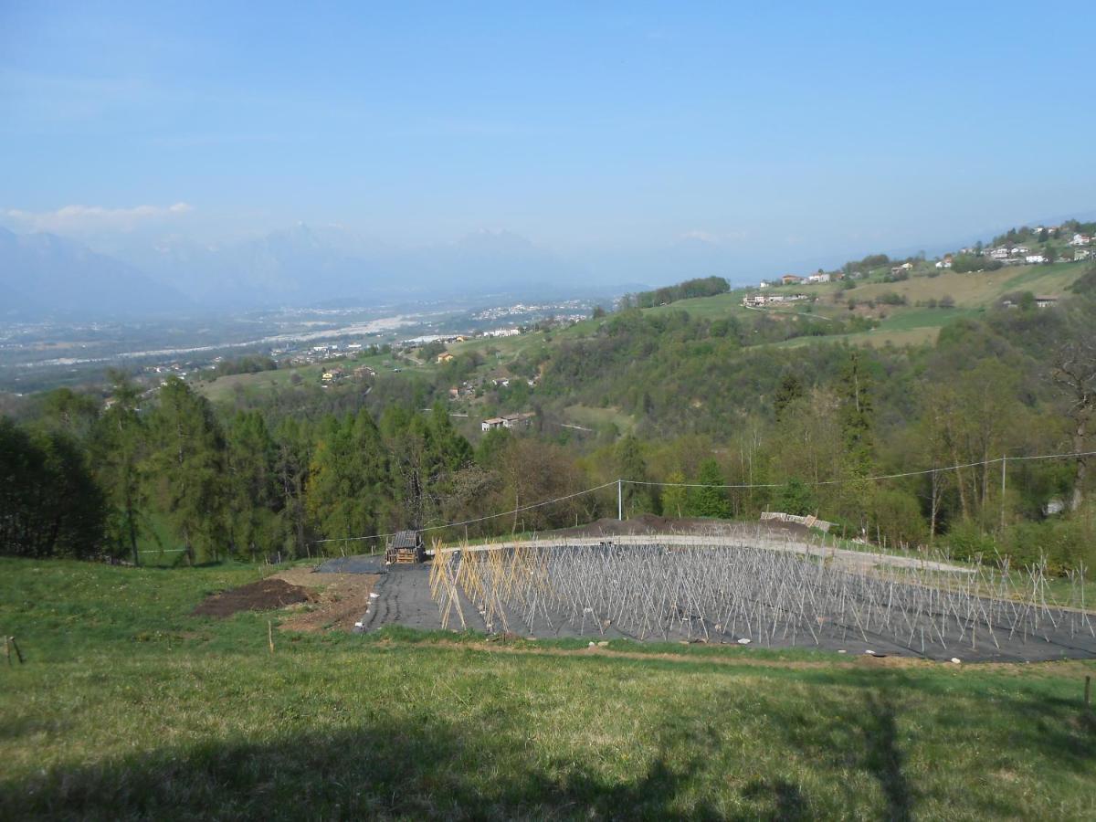 Agriturismo La Casa Nei Boschi Colderu Luaran gambar