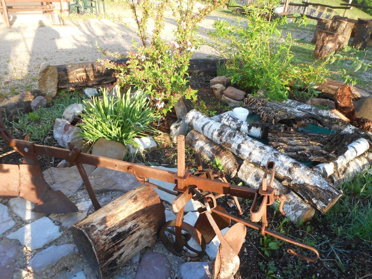 Agriturismo La Casa Nei Boschi Colderu Luaran gambar