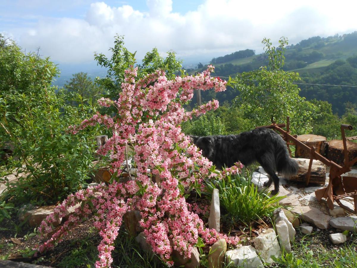 Agriturismo La Casa Nei Boschi Colderu Luaran gambar