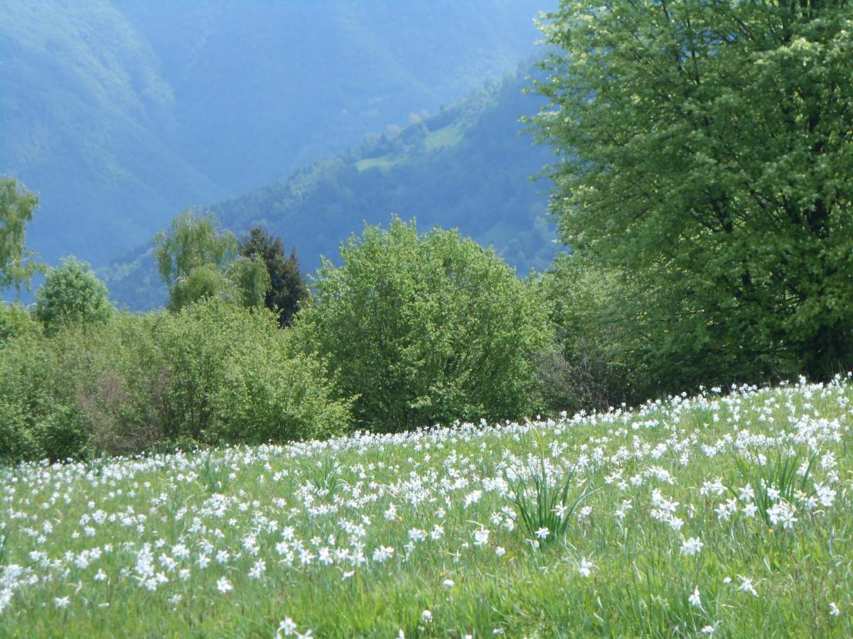 Agriturismo La Casa Nei Boschi Colderu Luaran gambar