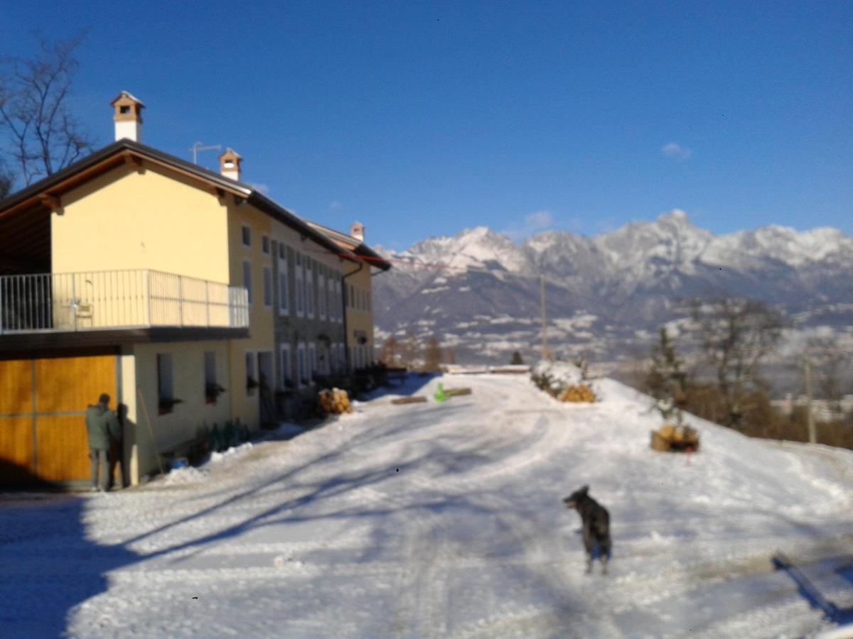 Agriturismo La Casa Nei Boschi Colderu Luaran gambar